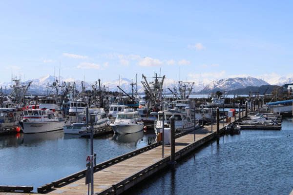 Harbor Tour